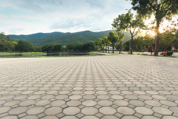 Best Commercial Driveway Pavers  in Franklinville, NC